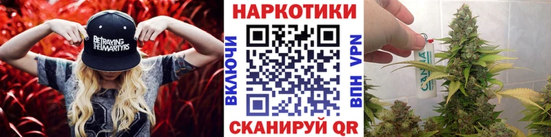Наркотические вещества Зерноград Гашиш Канабис А ПВП Меф мяу мяу
