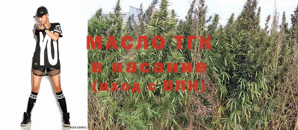 амф Елабуга