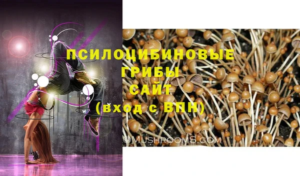 меф Ельня