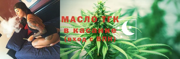 меф Ельня