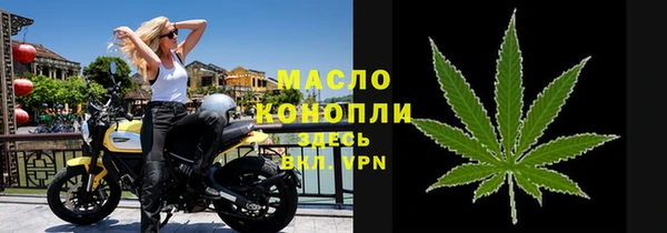 меф Ельня