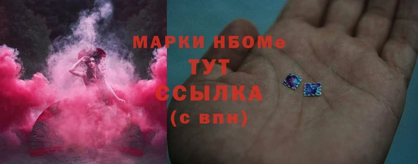 амф Елабуга