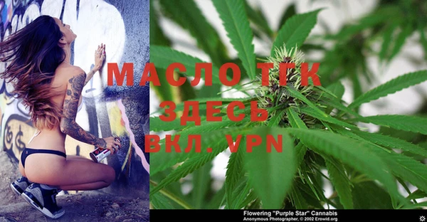 прущие грибы Дмитриев