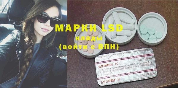 меф Ельня