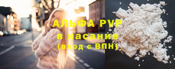 меф Ельня