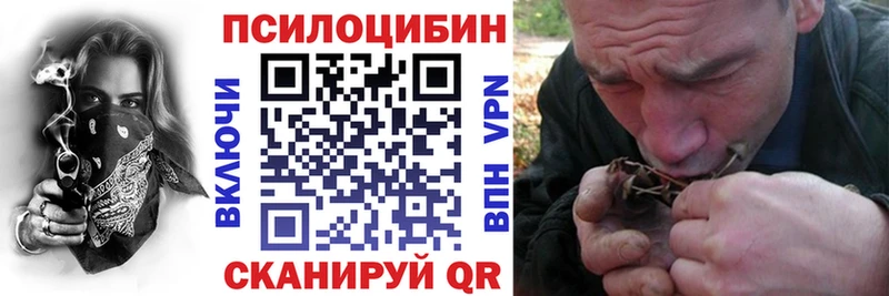купить закладку  Зерноград  Галлюциногенные грибы прущие грибы 